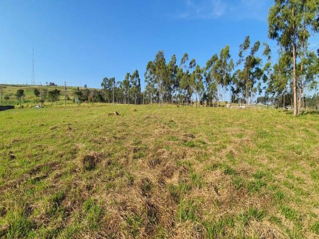 Terreno em condomínio para Venda em Taubaté - 5