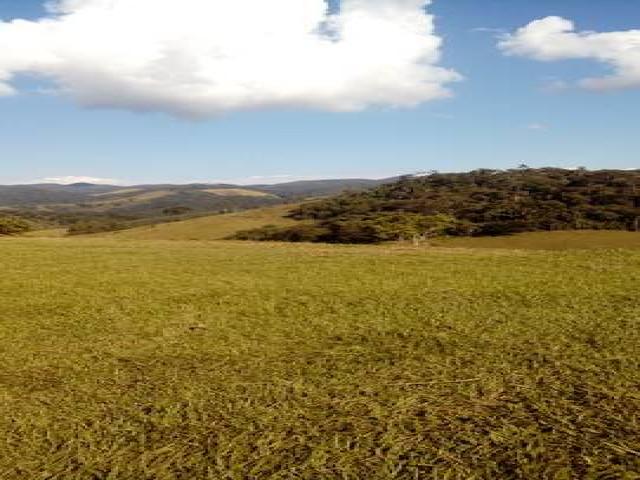 Chácara para Venda em Santo Antônio do Pinhal - 5