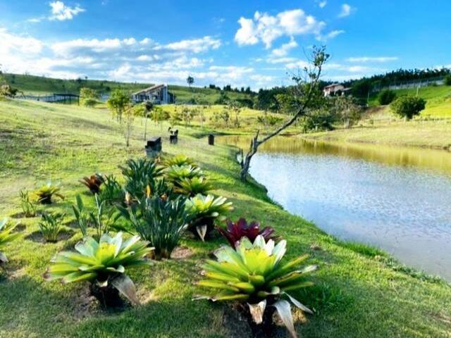 Área para Venda em Taubaté - 5
