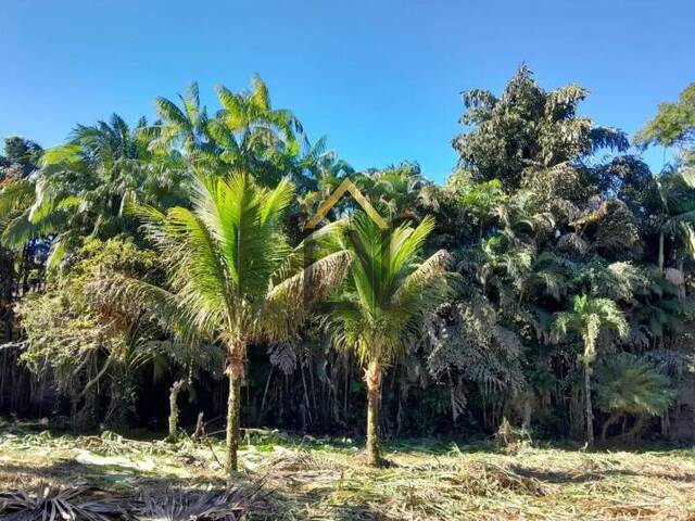 #2012 - Terreno para Venda em Ubatuba - SP