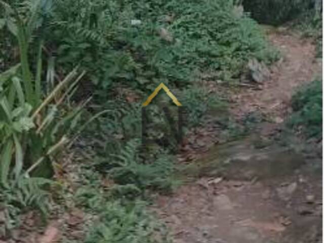 #2208 - Área para Venda em Ubatuba - SP